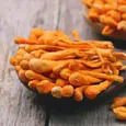 Cordyceps gomba kivonat