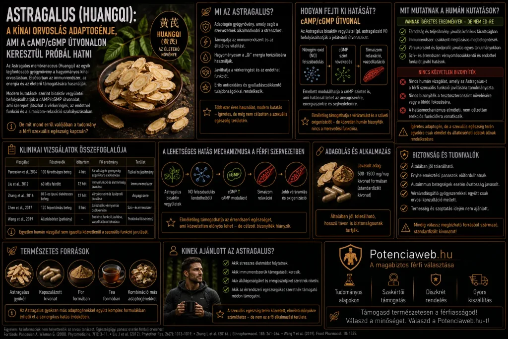 Astragalus (Huangqi): a kínai orvoslás adaptogénje, ami a cAMP/cGMP útvonalon keresztül próbál hatni