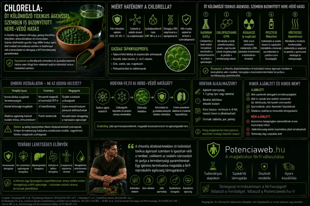 Chlorella: öt különböző toxikus ágenssel szemben is bizonyított here-védő hatás