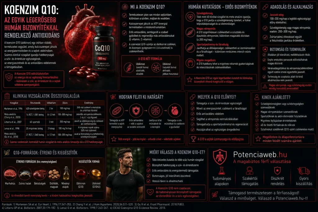 Koenzim Q10: az egyik legerősebb humán bizonyítékkal rendelkező antioxidáns