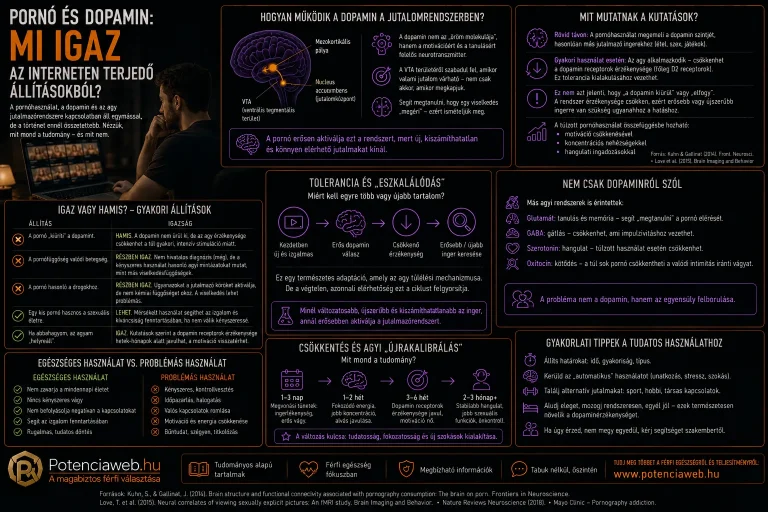 Pornó és dopamin: mi igaz az interneten terjedő állításokból?